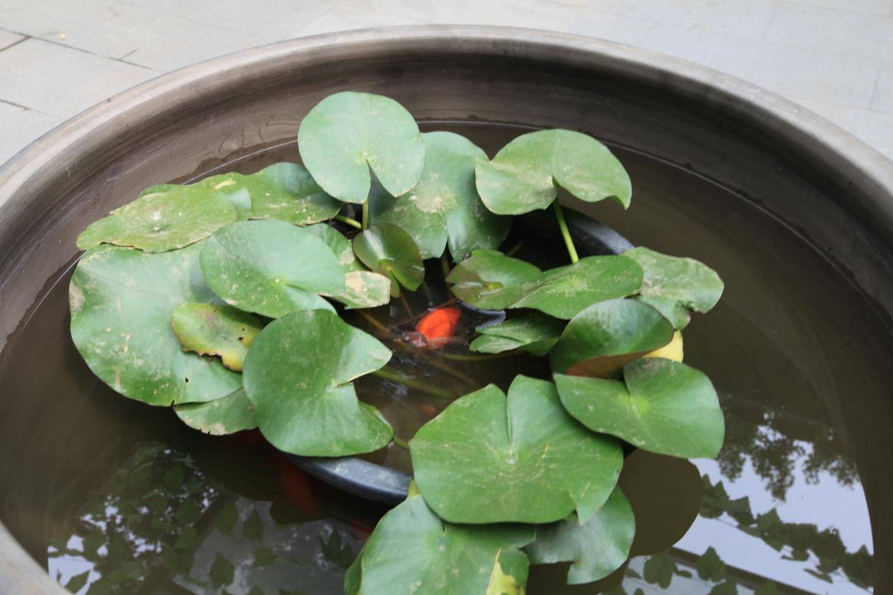 Zhantan Courtyard Hotel Beijing Bagian luar foto