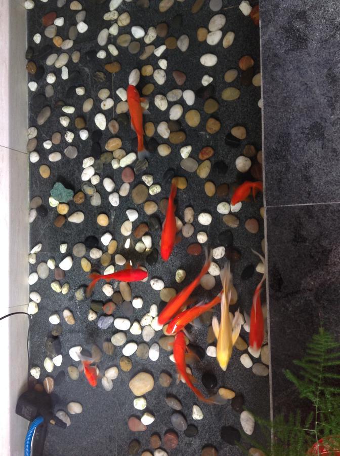 Zhantan Courtyard Hotel Beijing Bagian luar foto